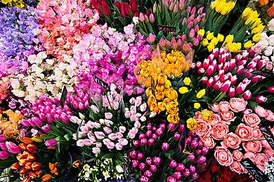 Xbox下一代主机开发或由Surface团队负责