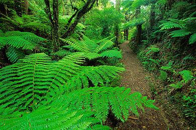 谷歌搜索加入《斯普拉遁3》满屏喷汁彩蛋