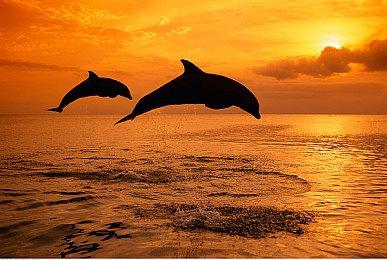 《真女神转生5》30分钟实机演示 展示战斗